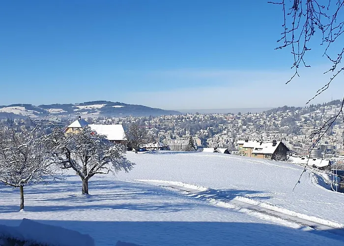 2-4 Zimmer Apartments Stilvoll Im Gertrud Schloessli - Zentral Ruhig