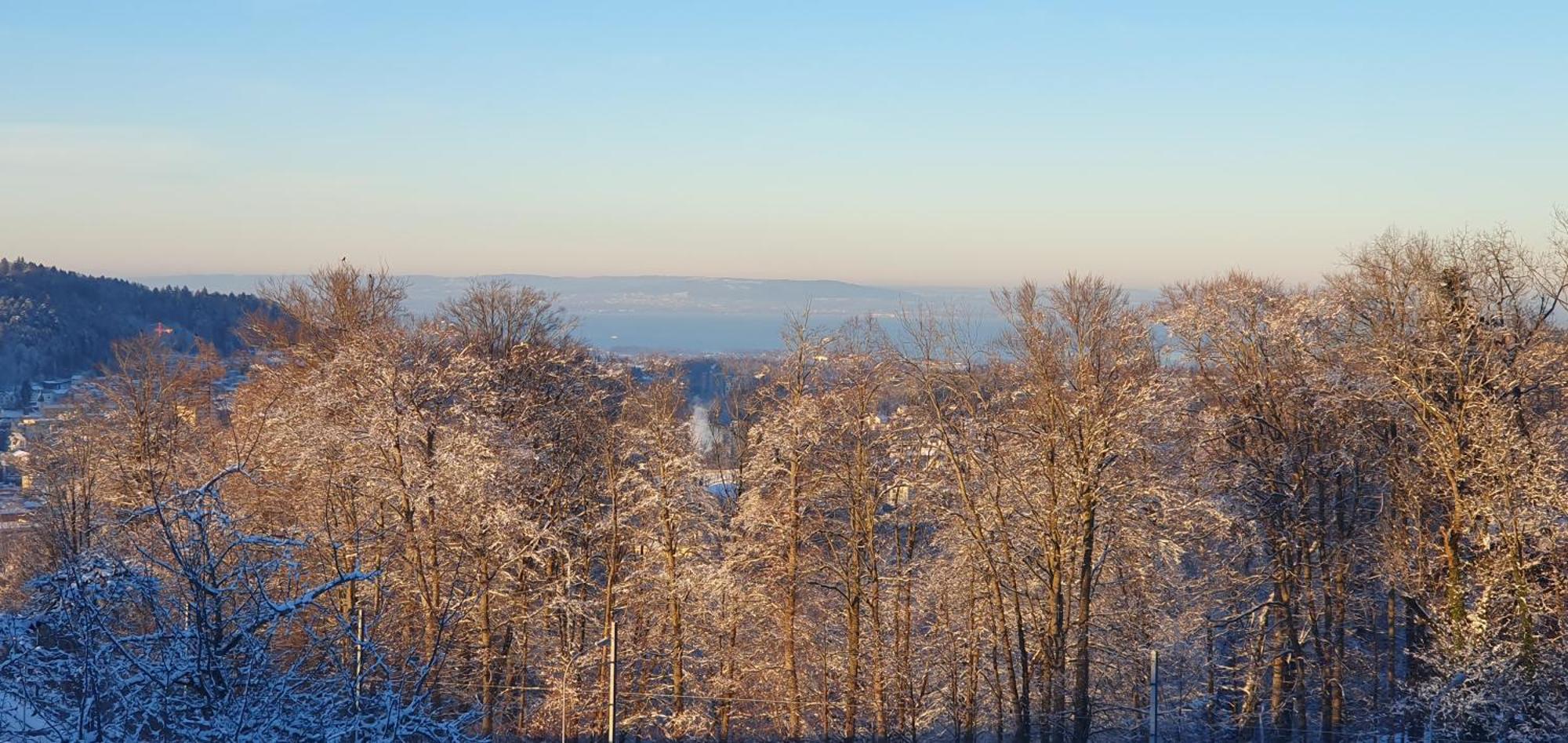 2-4 Stilvoll Im Gertrud Schloessli - Zentral Ruhig Apartment